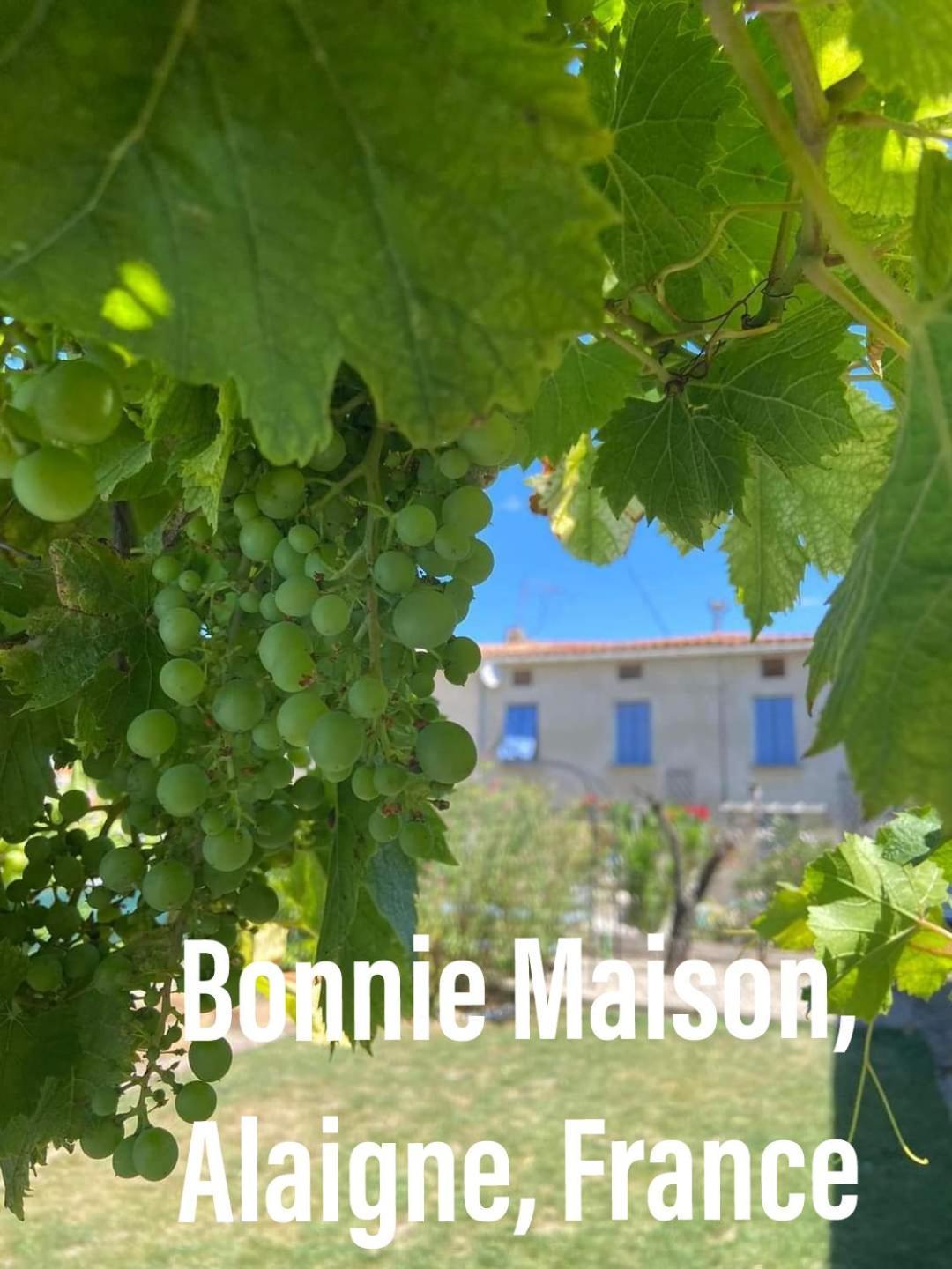 Bonnie Maison Villa Alaigne Exterior photo